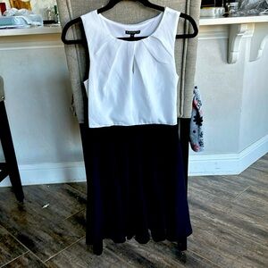 Express Flare Dress size 2